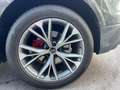 Audi Q8 Q8 55 TFSI e quattro Tiptronic Grau - thumbnail 7