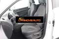 SEAT Ateca 1.0 TSI  Urban Advanced Bianco - thumbnail 8