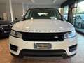 Land Rover Range Rover Sport 3.0 tdV6 SE * EURO6*TETTO*TAGLIANDI CERTIFICATI* Bianco - thumbnail 2