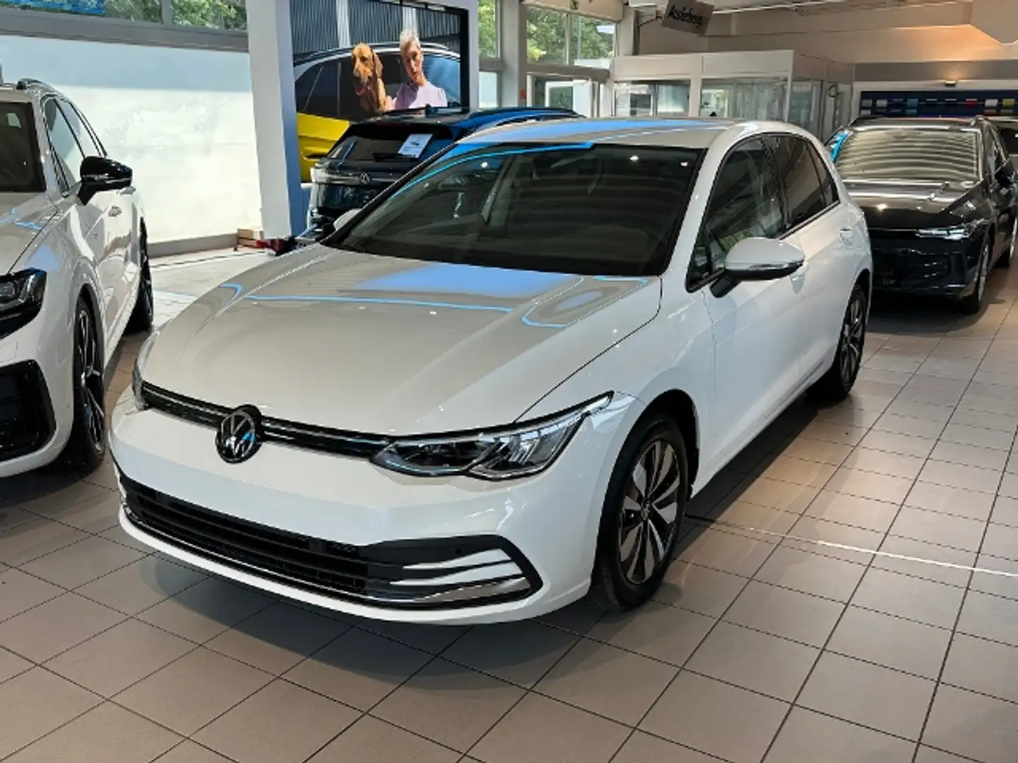 Volkswagen Golf VIII 1.0 TSI Life NAVI RFK GJR Wit - 2