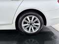 BMW 520 d Touring 183cv Bianco - thumbnail 7