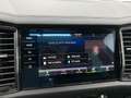 Skoda Kodiaq 2,0 TDI SCR 4x4 DSG Matrix AHK Panorama Canton ... Grau - thumbnail 33