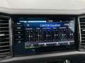 Skoda Kodiaq 2,0 TDI SCR 4x4 DSG Matrix AHK Panorama Canton ... Grau - thumbnail 34