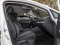 Volkswagen Golf VIII 1.5 l TSI GOAL NAVI AHK GJ-REIFEN LED PDC ACC Weiß - thumbnail 3