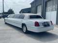 Lincoln Town Car Limousine 9 posti patente b Bianco - thumbnail 8