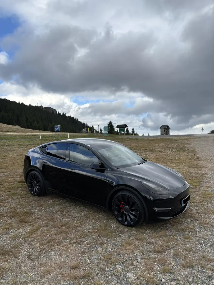 Tesla Model Y AWD 79kWh Performance - 2