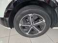 Kia Niro 1.6 HEV Drive Blanco - thumbnail 13