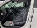 Kia Niro 1.6 HEV Drive Blanco - thumbnail 27