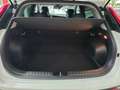 Kia Niro 1.6 HEV Drive Blanco - thumbnail 22
