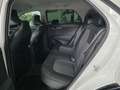 Kia Niro 1.6 HEV Drive Blanco - thumbnail 34