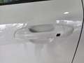 Kia Niro 1.6 HEV Drive Blanco - thumbnail 15