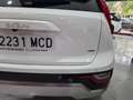 Kia Niro 1.6 HEV Drive Blanco - thumbnail 20