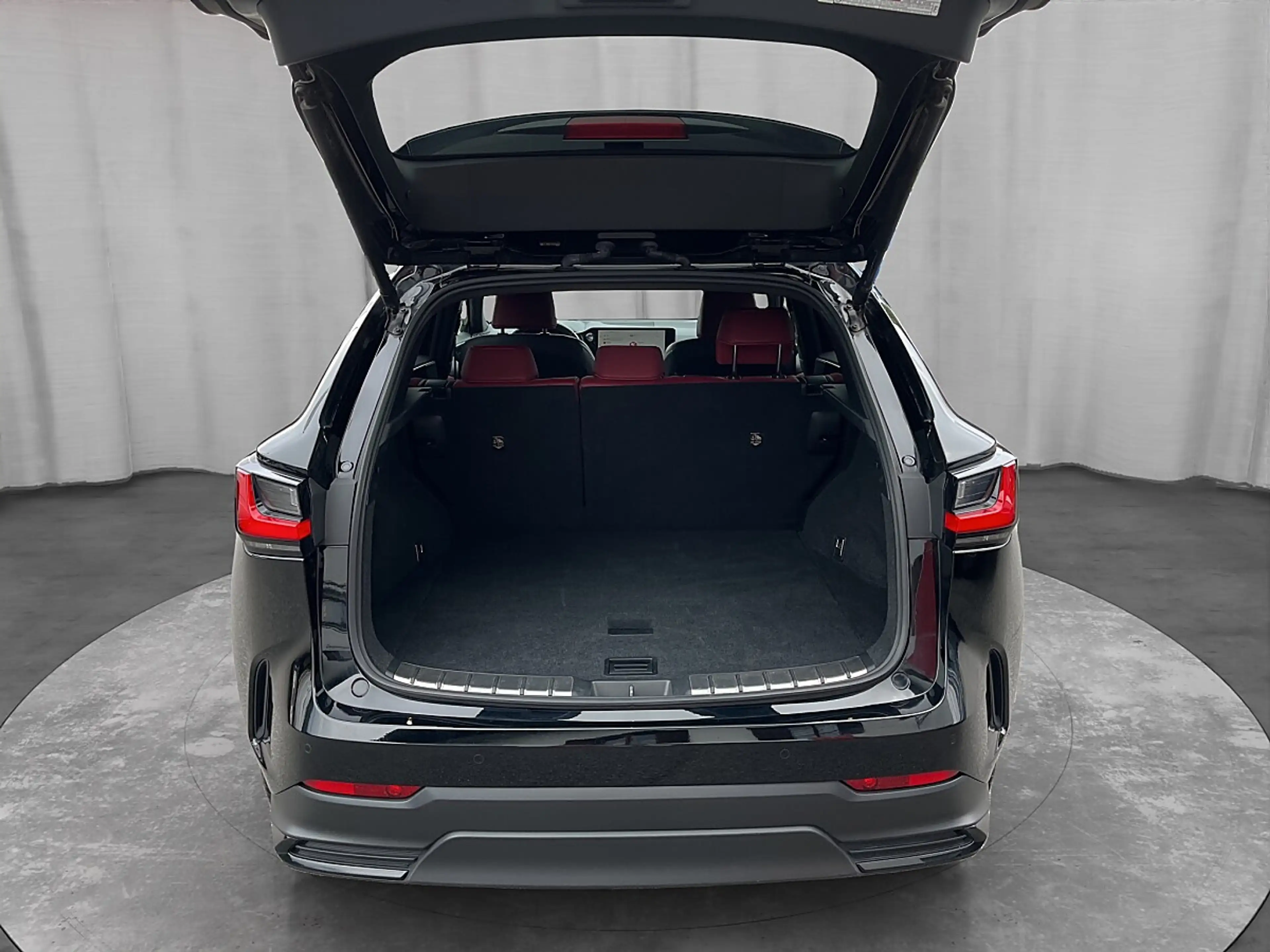Lexus NX 350h E-Four Executive Line Aut. — photo 15