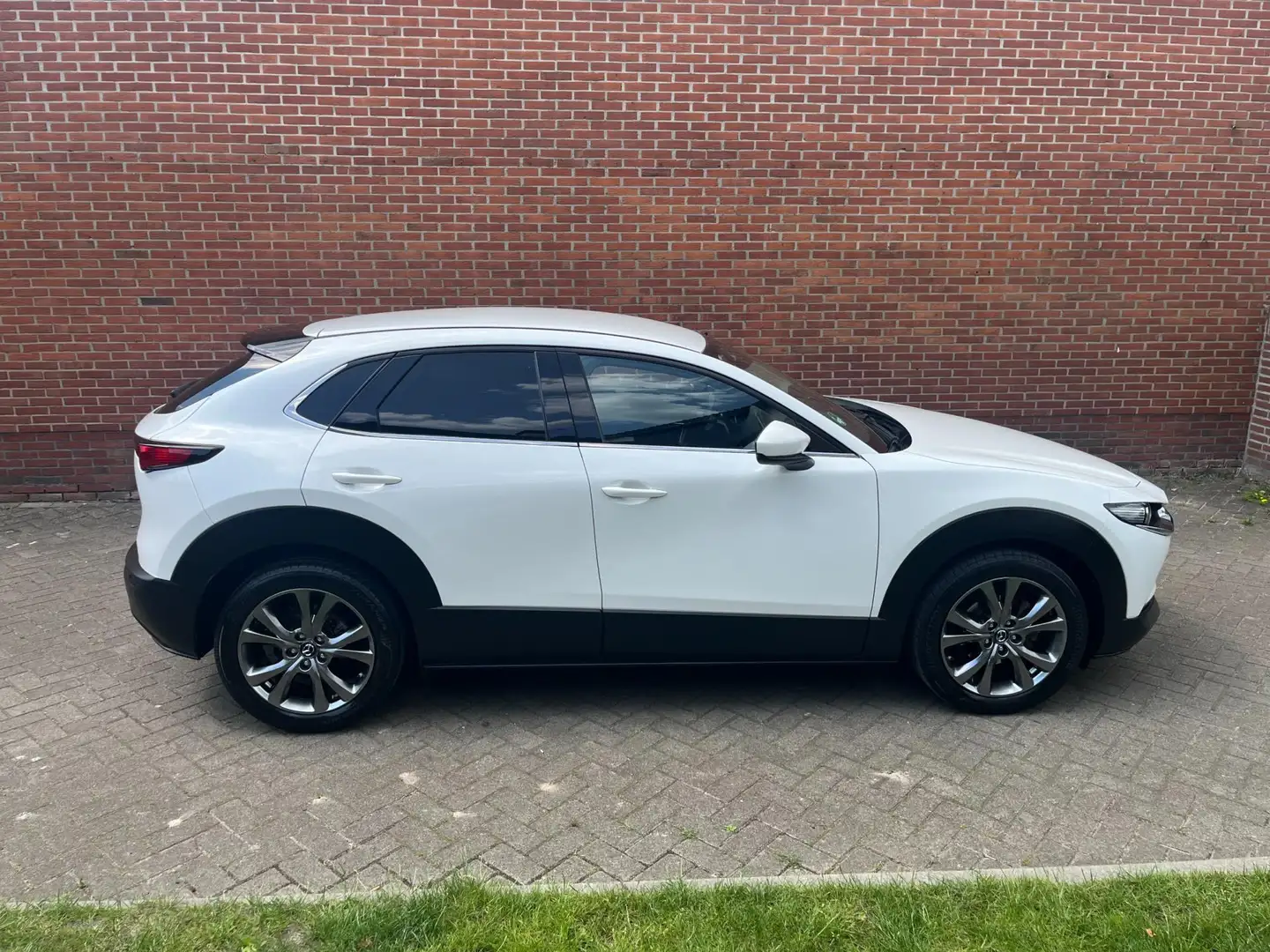 Mazda CX-30 2.0 e-SkyActiv-X M Hybrid Luxury Leder Navi Cruise Wit - 2
