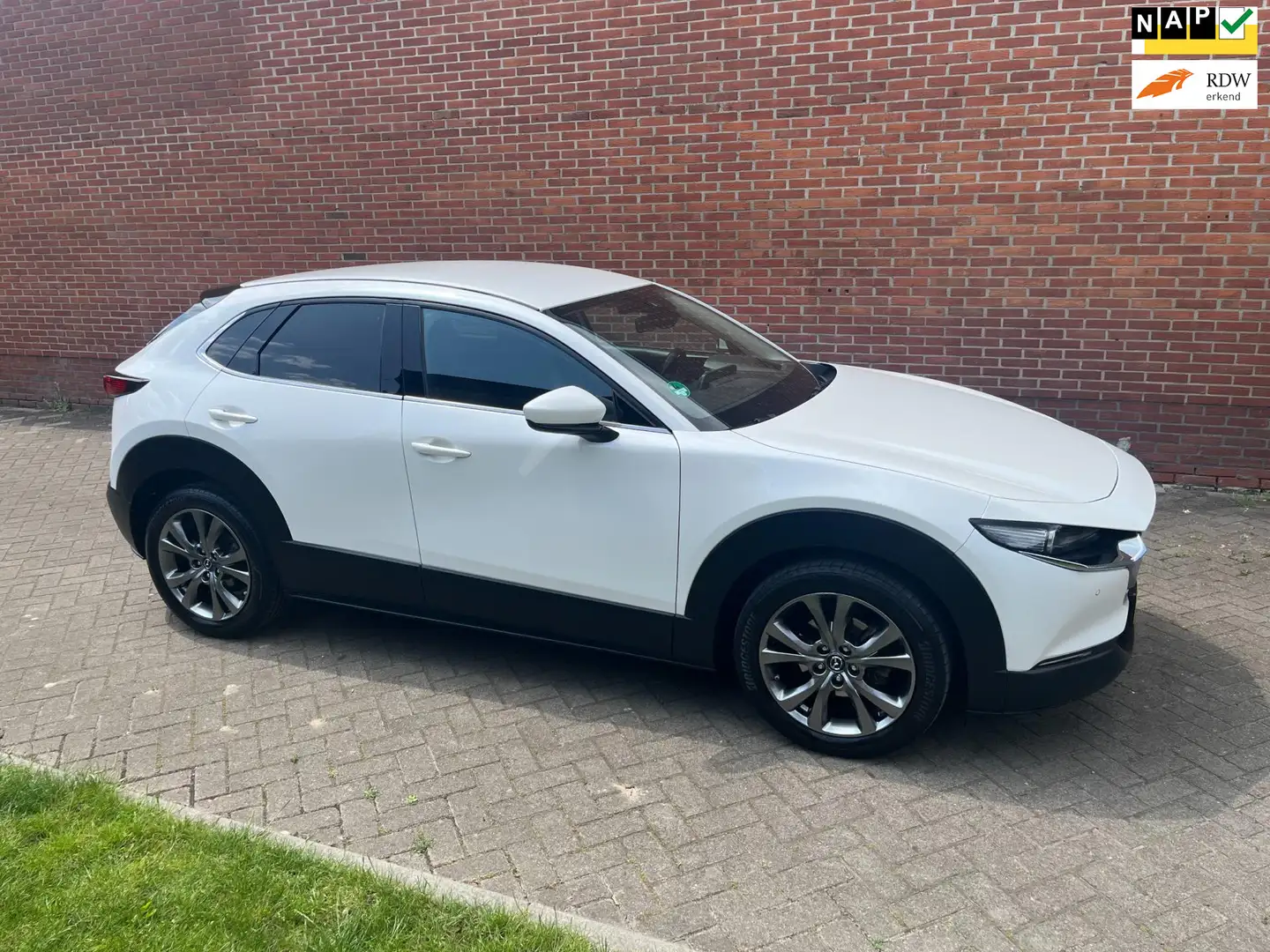 Mazda CX-30 2.0 e-SkyActiv-X M Hybrid Luxury Leder Navi Cruise Wit - 1