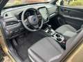 Subaru Forester Active MJ 2025 Grün - thumbnail 12