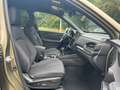 Subaru Forester Active MJ 2025 Grün - thumbnail 20