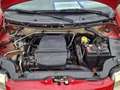 Fiat Panda Panda 1.2 natural power Dynamic Rot - thumbnail 22