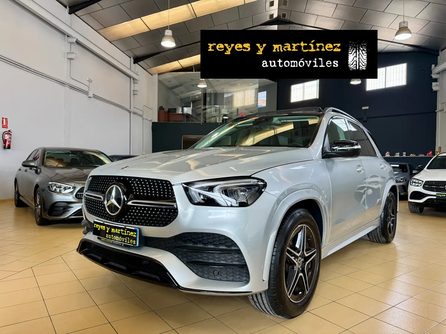 Mercedes-Benz GLE 300 300d 4Matic Aut. Gris - 1