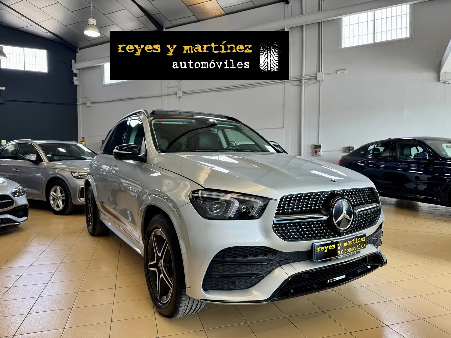 Mercedes-Benz GLE 300 300d 4Matic Aut. Gris - 2