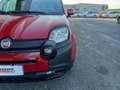 Fiat Panda Pandina 1.0 firefly hybrid s&s 70cv Rouge - thumbnail 18