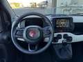 Fiat Panda Pandina 1.0 firefly hybrid s&s 70cv Rouge - thumbnail 8