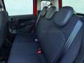Fiat Panda Pandina 1.0 firefly hybrid s&s 70cv Rouge - thumbnail 14