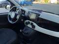 Fiat Panda Pandina 1.0 firefly hybrid s&s 70cv Rouge - thumbnail 7