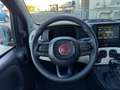 Fiat Panda Pandina 1.0 firefly hybrid s&s 70cv Rouge - thumbnail 21