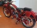 Moto Guzzi Airone Airone sport 250 cc crvena - thumbnail 1