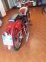 Moto Guzzi Airone Airone sport 250 cc Red - thumbnail 4