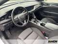 Opel Insignia Sports Tourer 1.5 D Business Edit. / Standheizung Blanco - thumbnail 12
