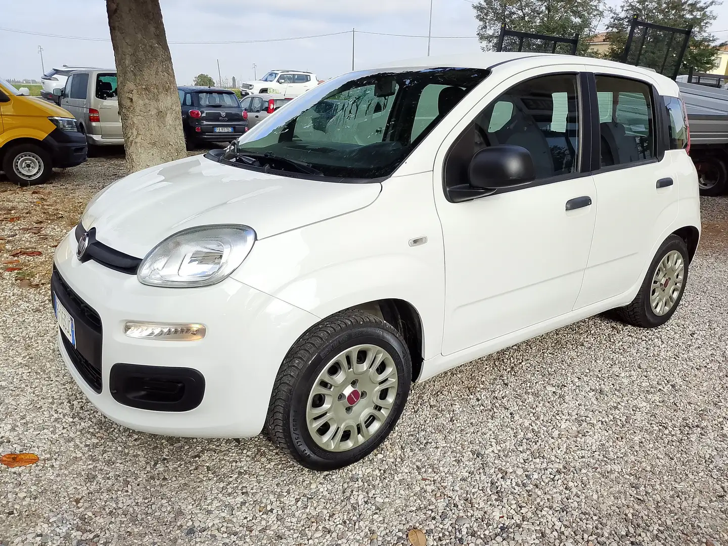 Fiat Panda Panda 1.2 easypower Easy Gpl 69cv E6 Beige - 2