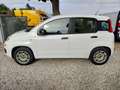 Fiat Panda Panda 1.2 easypower Easy Gpl 69cv E6 Beige - thumbnail 3