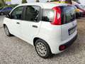 Fiat Panda Panda 1.2 easypower Easy Gpl 69cv E6 Beige - thumbnail 4