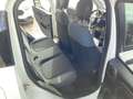 Fiat Panda Panda 1.2 easypower Easy Gpl 69cv E6 Beige - thumbnail 15