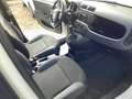 Fiat Panda Panda 1.2 easypower Easy Gpl 69cv E6 Beige - thumbnail 19