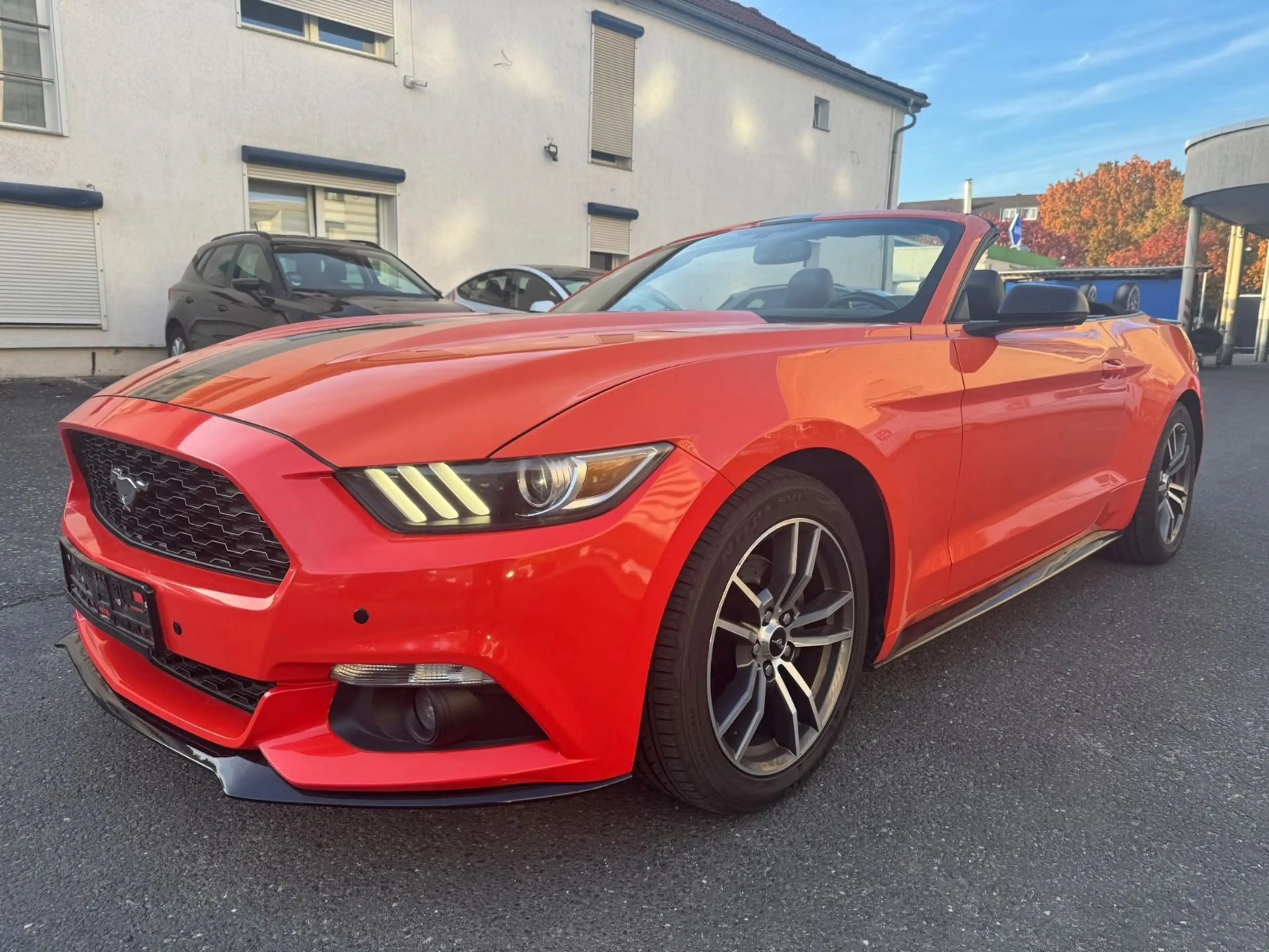 Ford Mustang 2.3 EcoBoost Cabrio  * TOP  Zustand*