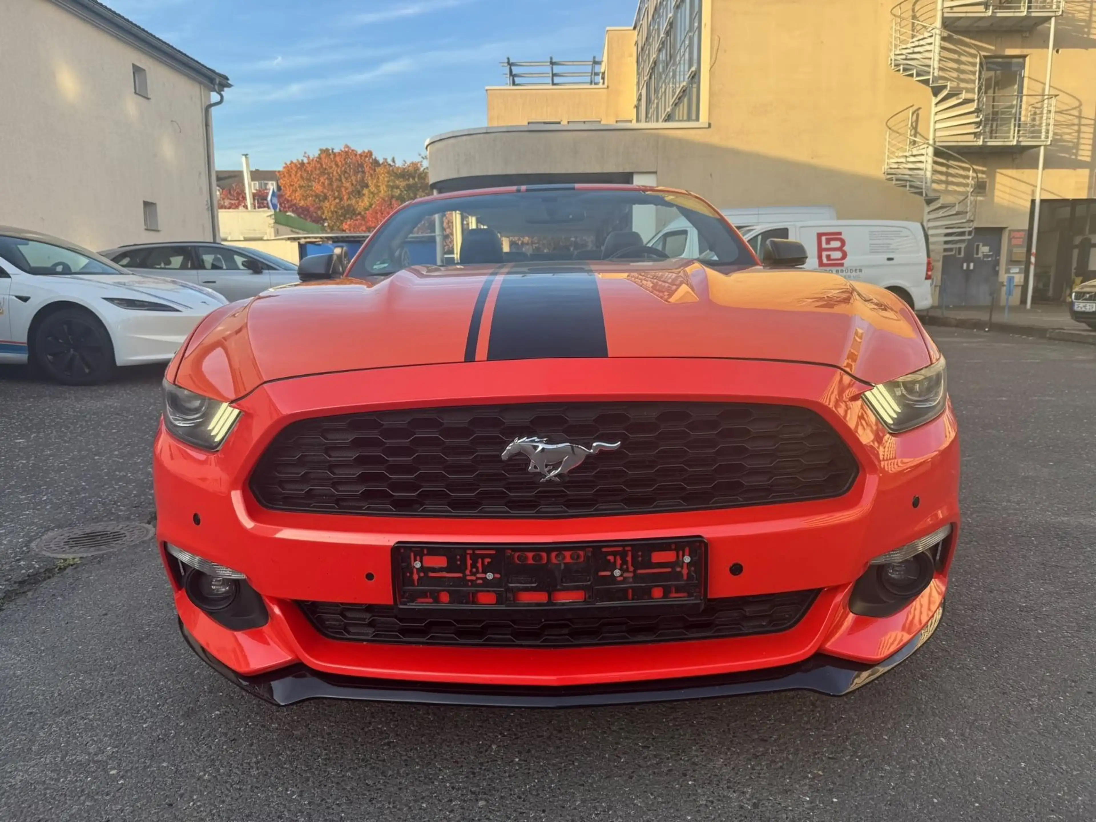 Ford Mustang 2.3 EcoBoost Cabrio  * TOP  Zustand* — photo 2