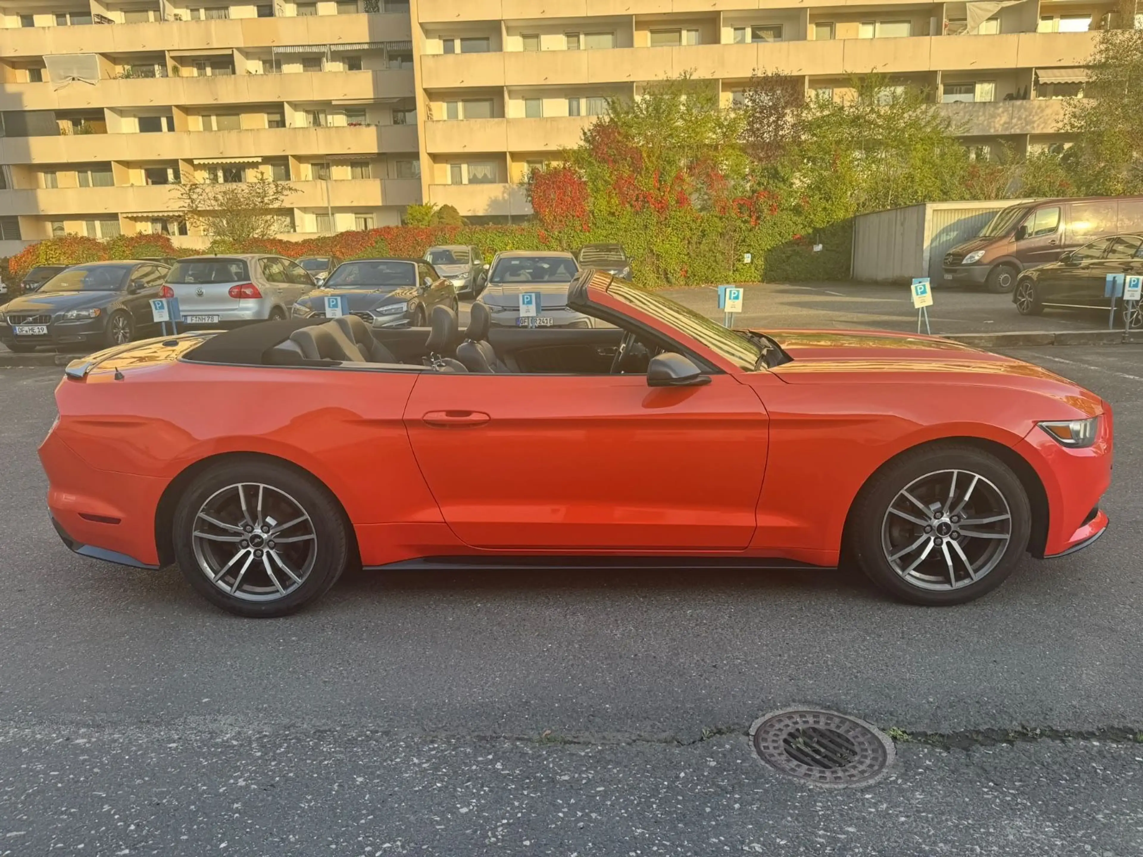 Ford Mustang 2.3 EcoBoost Cabrio  * TOP  Zustand* — photo 4