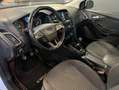 Ford Focus BREAK 1.0 ECOBOOST 125 TITANIUM-X %2B CAMÉRA DE RECUL Blanc - thumbnail 21