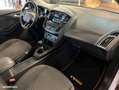 Ford Focus BREAK 1.0 ECOBOOST 125 TITANIUM-X %2B CAMÉRA DE RECUL Blanc - thumbnail 23