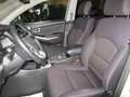 SsangYong Korando 2.2 Diesel 2WD MT Limited AUTOM White - thumbnail 8