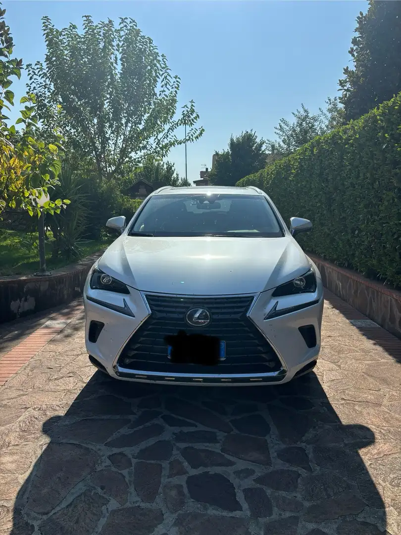 Lexus NX 300h executive - 1