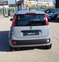 Fiat Panda 1.0 FireFly S&S Hybrid Gris - thumbnail 20