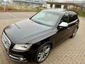 Audi SQ5 COMPETITION QUATTRO/PANO/TÜV NEU/KAMERA/SHZ/ Noir - thumbnail 10