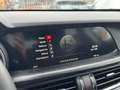 Alfa Romeo Stelvio Stelvio 2.2 t Sport Edition Q4 210cv auto - thumbnail 14