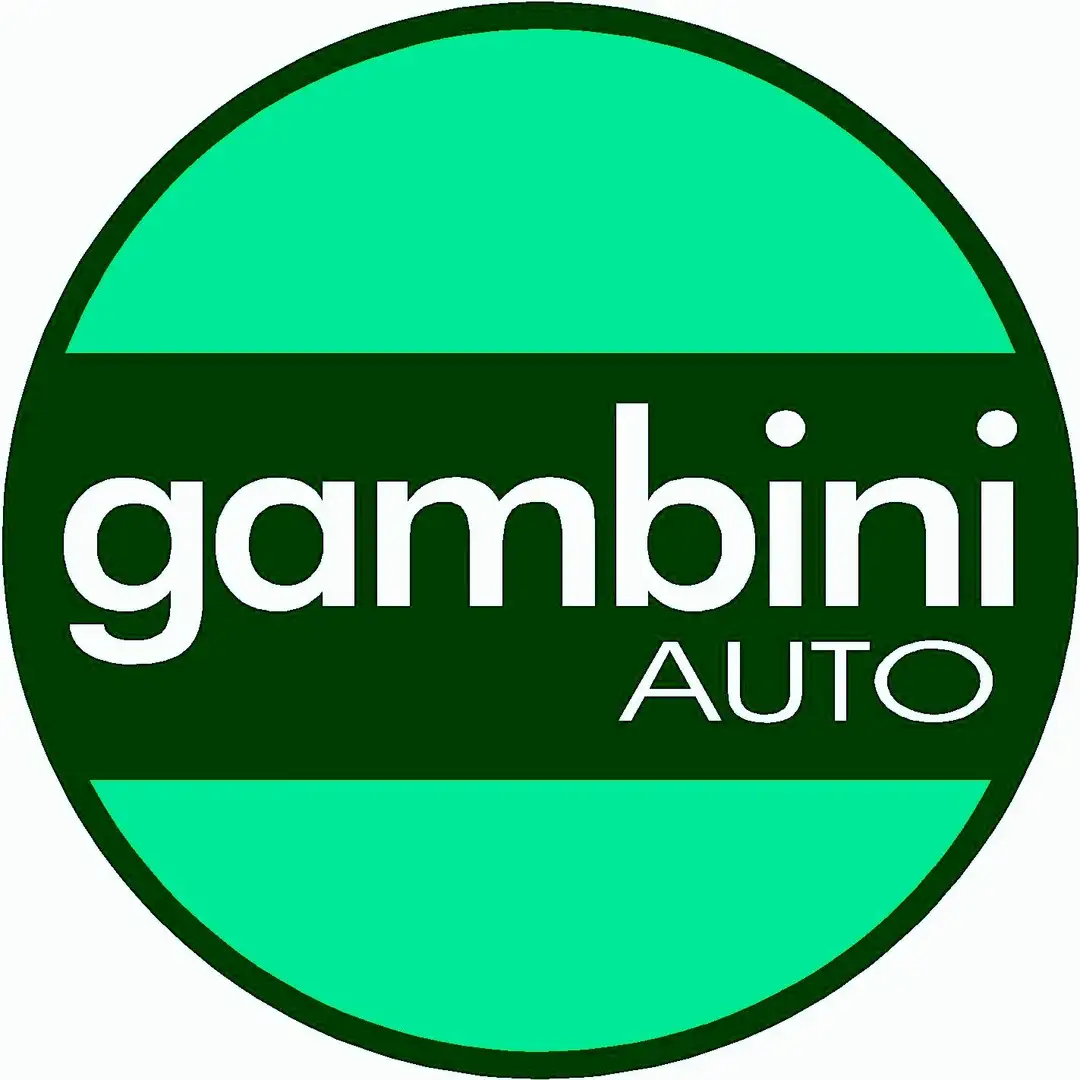 Nissan Qashqai 1.5 dci Acenta Dpf Grigio - 2