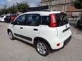 Fiat Panda 1000 HYBRID CITY LIFE 70CV BIANCO ITALIA Blanco - thumbnail 3