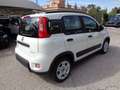 Fiat Panda 1000 HYBRID CITY LIFE 70CV BIANCO ITALIA Blanc - thumbnail 4